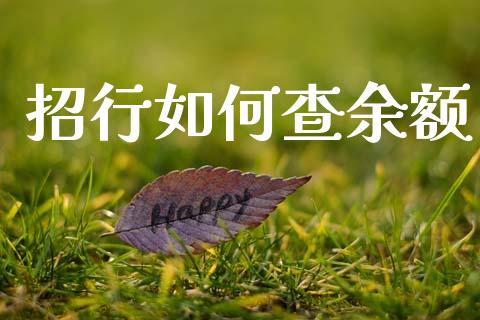 招行如何查余额_https://m.jnlaobingbanjia.com_金融监管_第1张