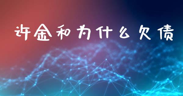 许金和为什么欠债_https://m.jnlaobingbanjia.com_基金市场_第1张