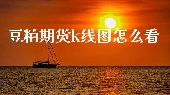 豆粕期货k线图怎么看_https://m.jnlaobingbanjia.com_金融监管_第1张