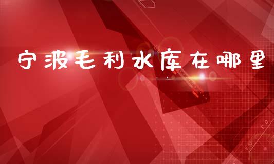 宁波毛利水库在哪里_https://m.jnlaobingbanjia.com_金融监管_第1张
