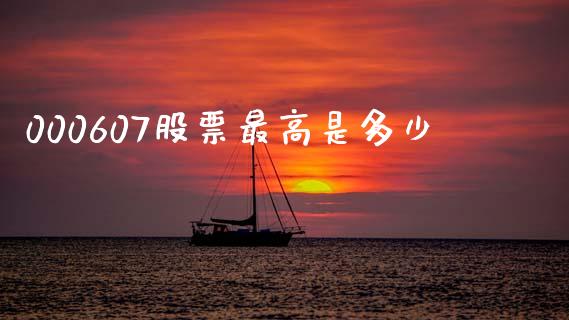 000607股票最高是多少_https://m.jnlaobingbanjia.com_股市新闻_第1张
