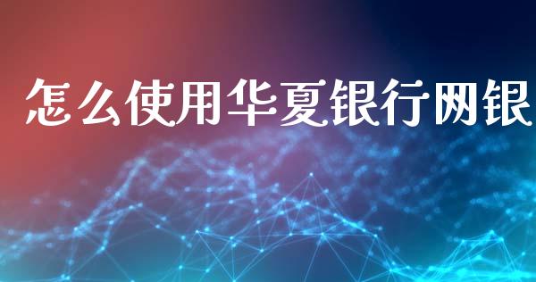 怎么使用华夏银行网银_https://m.jnlaobingbanjia.com_金融监管_第1张