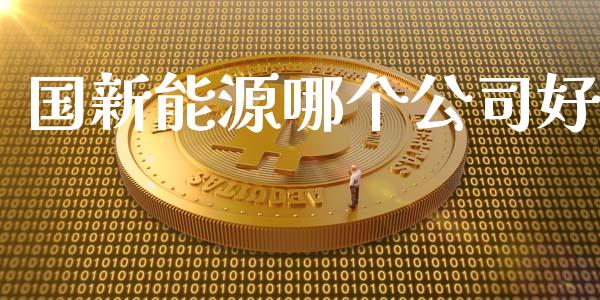 国新能源哪个公司好_https://m.jnlaobingbanjia.com_理财规划_第1张
