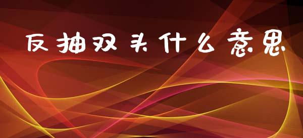 反抽双头什么意思_https://m.jnlaobingbanjia.com_基金市场_第1张