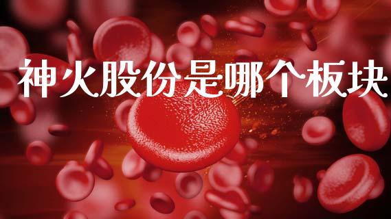 神火股份是哪个板块_https://m.jnlaobingbanjia.com_区块链_第1张