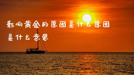 影响黄金的原因是什么原因是什么意思_https://m.jnlaobingbanjia.com_理财规划_第1张