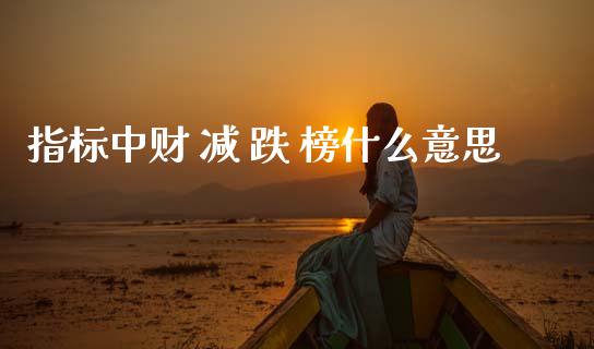 指标中财 减 跌 榜什么意思_https://m.jnlaobingbanjia.com_金融监管_第1张