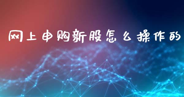 网上申购新股怎么操作的_https://m.jnlaobingbanjia.com_金融监管_第1张