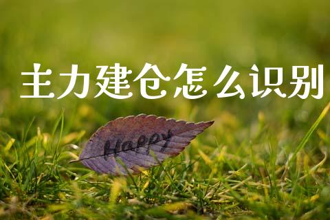 主力建仓怎么识别_https://m.jnlaobingbanjia.com_区块链_第1张