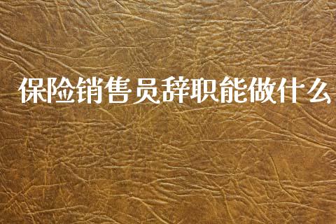 保险销售员辞职能做什么_https://m.jnlaobingbanjia.com_全球市场_第1张
