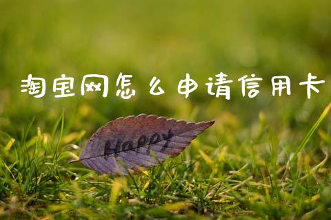 淘宝网怎么申请信用卡_https://m.jnlaobingbanjia.com_区块链_第1张