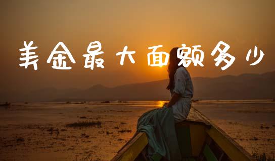 美金最大面额多少_https://m.jnlaobingbanjia.com_理财规划_第1张