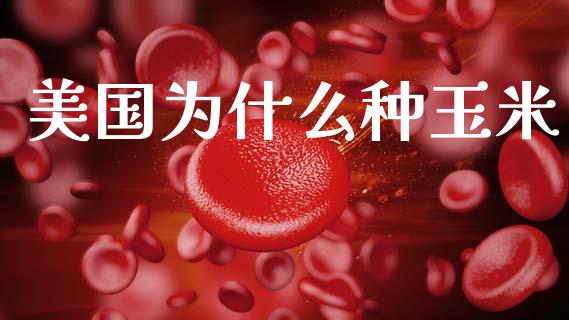 美国为什么种玉米_https://m.jnlaobingbanjia.com_全球市场_第1张