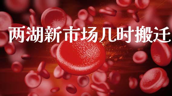 两湖新市场几时搬迁_https://m.jnlaobingbanjia.com_股市新闻_第1张