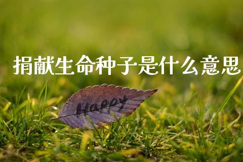 捐献生命种子是什么意思_https://m.jnlaobingbanjia.com_全球市场_第1张