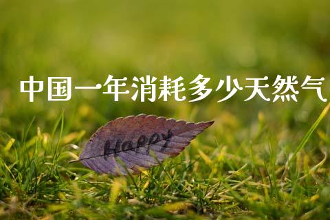 中国一年消耗多少天然气_https://m.jnlaobingbanjia.com_股市新闻_第1张