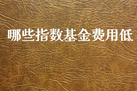 哪些指数基金费用低_https://m.jnlaobingbanjia.com_理财规划_第1张