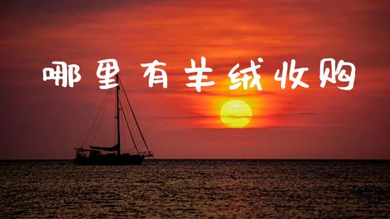 哪里有羊绒收购_https://m.jnlaobingbanjia.com_理财规划_第1张