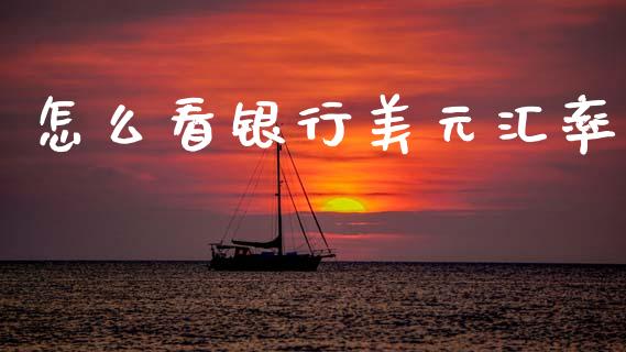 怎么看银行美元汇率_https://m.jnlaobingbanjia.com_区块链_第1张