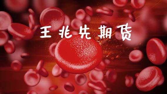王兆先期货_https://m.jnlaobingbanjia.com_全球市场_第1张