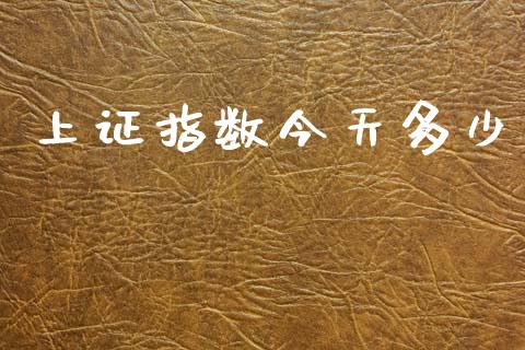 上证指数今天多少_https://m.jnlaobingbanjia.com_金融监管_第1张