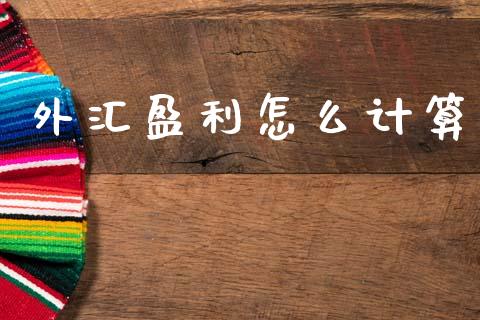 外汇盈利怎么计算_https://m.jnlaobingbanjia.com_理财规划_第1张