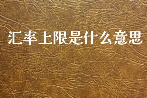 汇率上限是什么意思_https://m.jnlaobingbanjia.com_金融监管_第1张