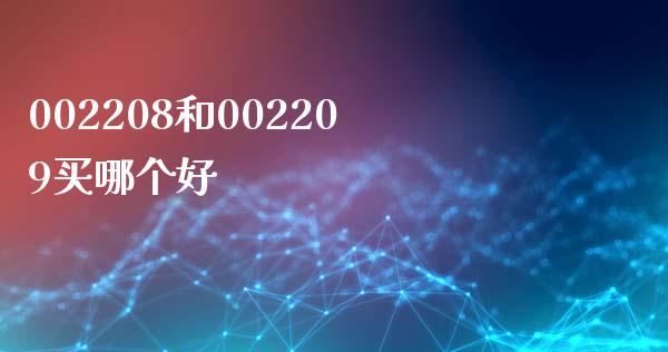002208和002209买哪个好_https://m.jnlaobingbanjia.com_股市新闻_第1张