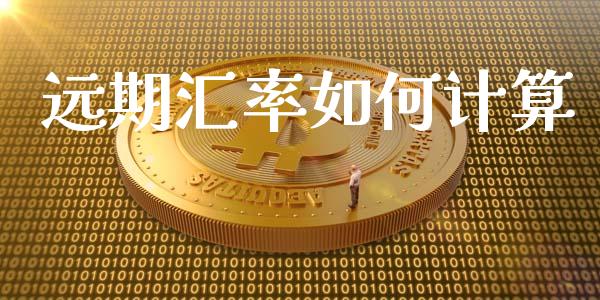 远期汇率如何计算_https://m.jnlaobingbanjia.com_理财规划_第1张