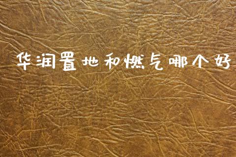 华润置地和燃气哪个好_https://m.jnlaobingbanjia.com_理财规划_第1张