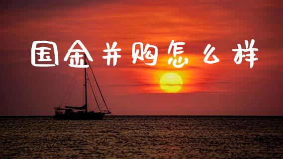国金并购怎么样_https://m.jnlaobingbanjia.com_股市新闻_第1张