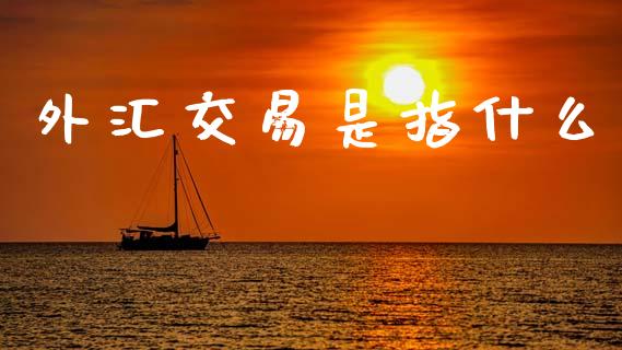 外汇交易是指什么_https://m.jnlaobingbanjia.com_基金市场_第1张