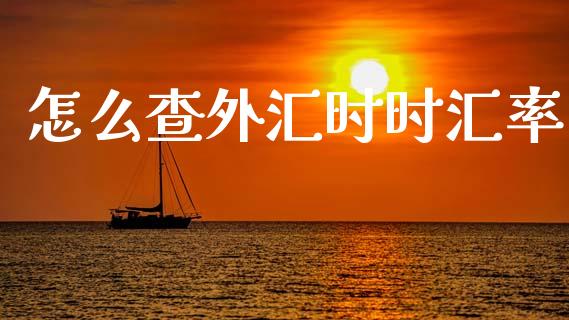 怎么查外汇时时汇率_https://m.jnlaobingbanjia.com_理财规划_第1张