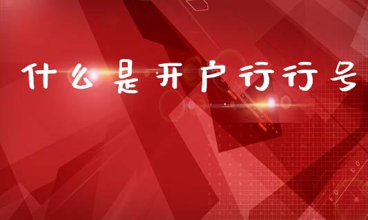 什么是开户行行号_https://m.jnlaobingbanjia.com_金融监管_第1张