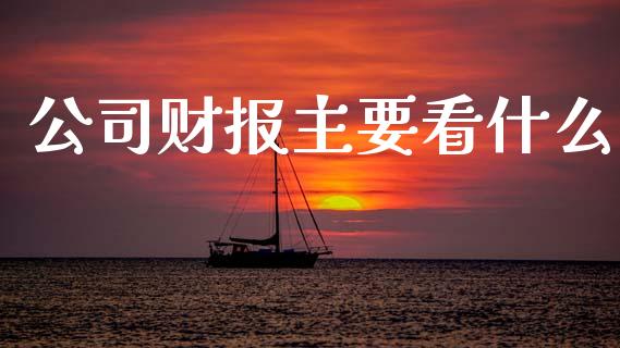 公司财报主要看什么_https://m.jnlaobingbanjia.com_理财规划_第1张