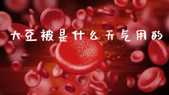 大豆被是什么天气用的_https://m.jnlaobingbanjia.com_全球市场_第1张