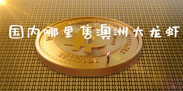 国内哪里售澳洲大龙虾_https://m.jnlaobingbanjia.com_金融监管_第1张