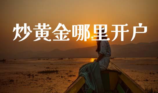 炒黄金哪里开户_https://m.jnlaobingbanjia.com_理财规划_第1张