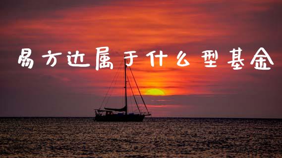 易方达属于什么型基金_https://m.jnlaobingbanjia.com_区块链_第1张