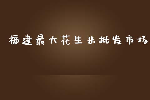 福建最大花生米批发市场_https://m.jnlaobingbanjia.com_全球市场_第1张