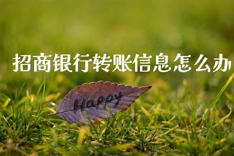招商银行转账信息怎么办_https://m.jnlaobingbanjia.com_理财规划_第1张