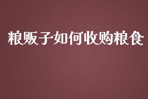 粮贩子如何收购粮食_https://m.jnlaobingbanjia.com_股市新闻_第1张