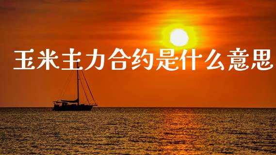 玉米主力合约是什么意思_https://m.jnlaobingbanjia.com_理财规划_第1张