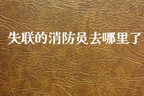 失联的消防员去哪里了_https://m.jnlaobingbanjia.com_基金市场_第1张