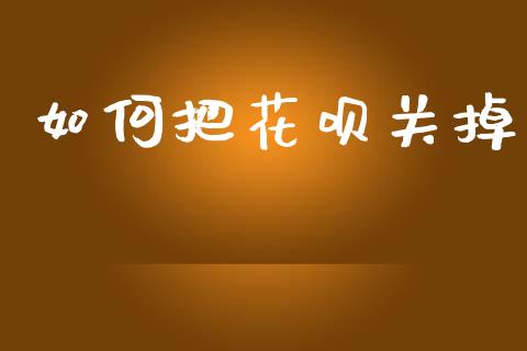 如何把花呗关掉_https://m.jnlaobingbanjia.com_全球市场_第1张