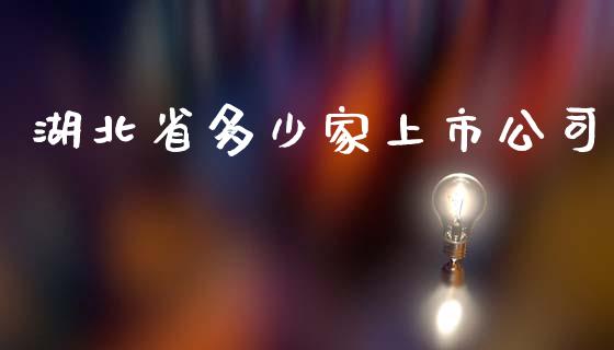 湖北省多少家上市公司_https://m.jnlaobingbanjia.com_股市新闻_第1张