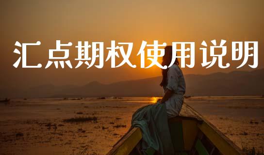 汇点期权使用说明_https://m.jnlaobingbanjia.com_区块链_第1张