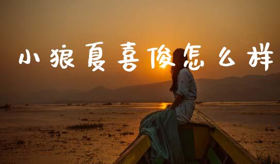 小狼夏喜俊怎么样_https://m.jnlaobingbanjia.com_基金市场_第1张