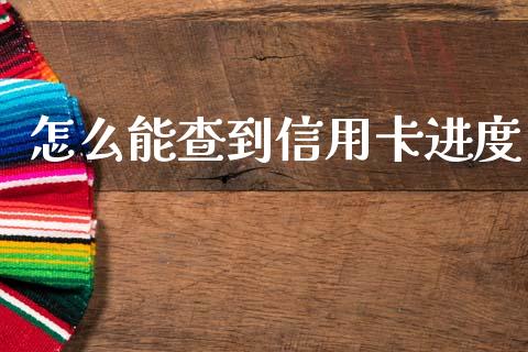 怎么能查到信用卡进度_https://m.jnlaobingbanjia.com_理财规划_第1张