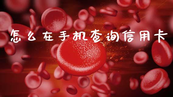 怎么在手机查询信用卡_https://m.jnlaobingbanjia.com_理财规划_第1张